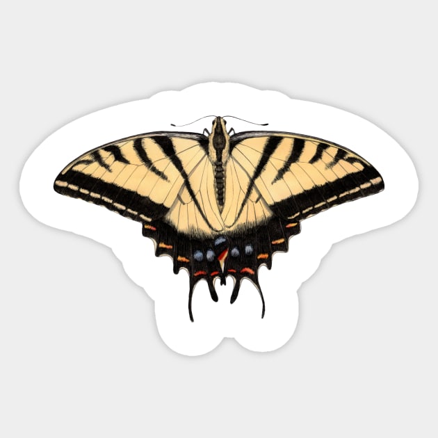 Two-tailed Swallowtail Sticker by JadaFitch